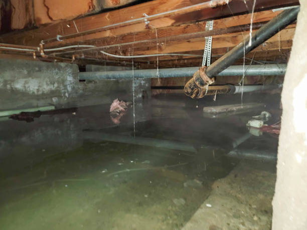 Best Emergency water damage restoration  in Edmonston, MD