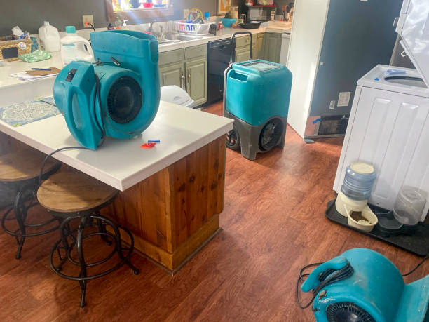 Best Water damage mitigation services  in Edmonston, MD