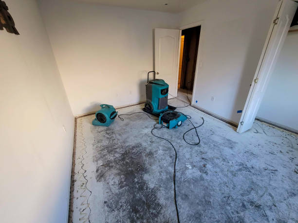 Best Water damage restoration company  in Edmonston, MD
