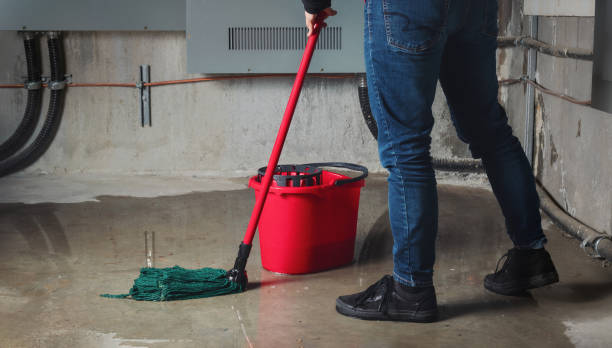  Edmonston, MD Water damage restoration Pros
