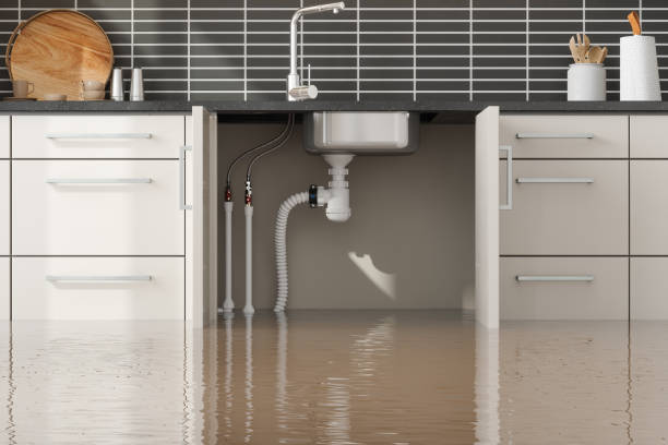 Best Professional water damage repair  in Edmonston, MD