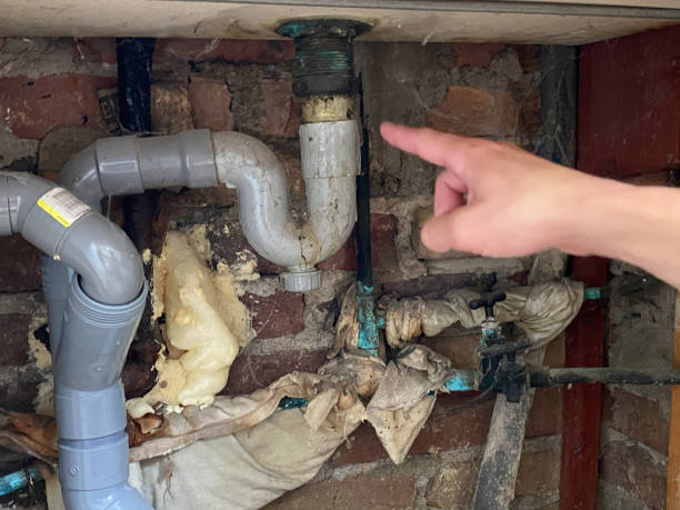 Best Basement water damage restoration  in Edmonston, MD