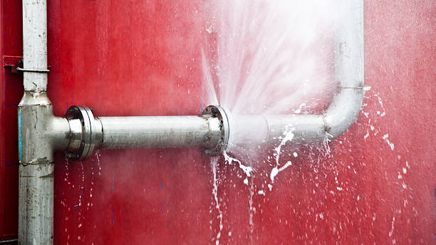 Best Water damage restoration near me  in Edmonston, MD