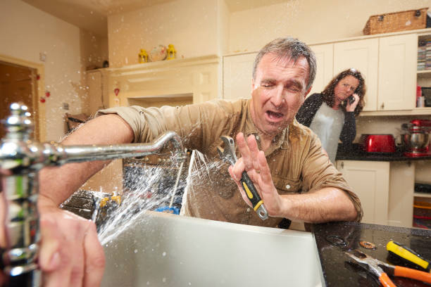 Best Carpet water damage restoration  in Edmonston, MD